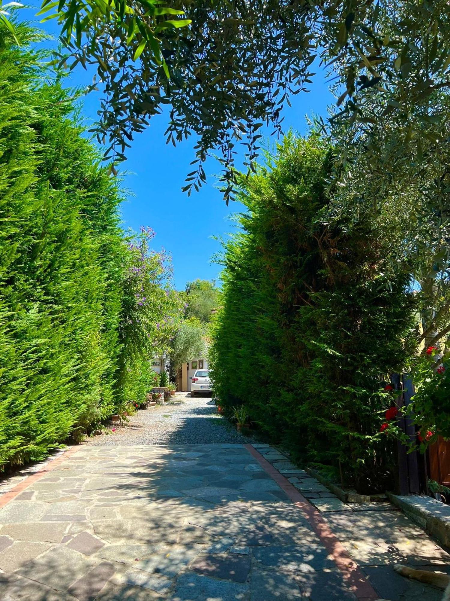 Le Jardin Sur Mer Avec Bike Et Mtb Tour Otel Imperia Dış mekan fotoğraf